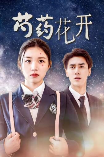 芍药花开&火光中的芍药花 全集(大结局)