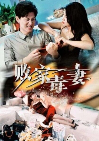 败家毒妻 全集(大结局)