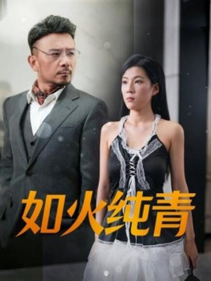 如火纯青 全集(大结局)