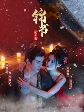 锦书谋权录 全集(大结局)