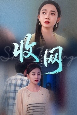 收网 全集(大结局)