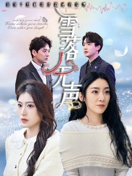 雪落无声 全集(大结局)