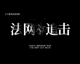 法网追击 第2集
